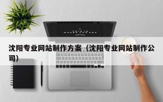 白城沈阳专业网站制作方案（沈阳专业网站制作公司）